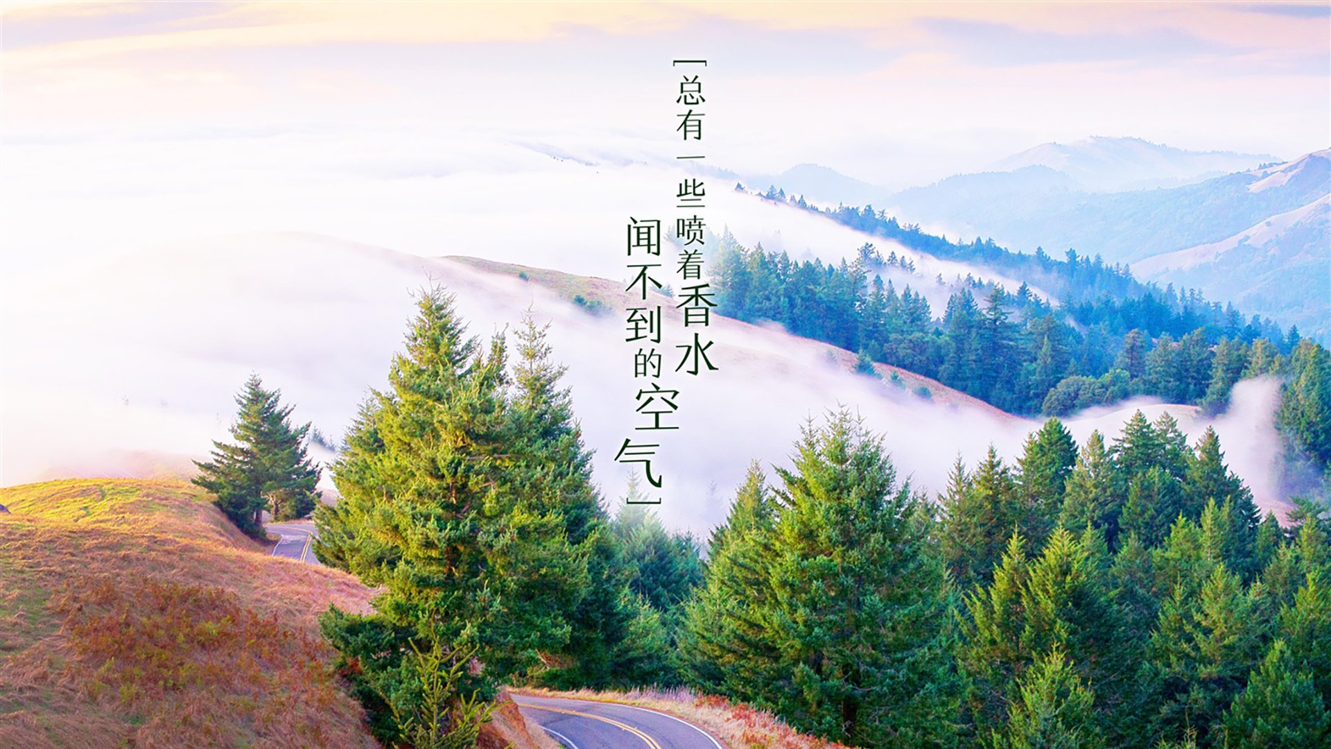 开云官网-切尔西前锋亚伯拉扎法斯绝杀，帮助球队逆转胜利，亚拉伯罕 切尔西