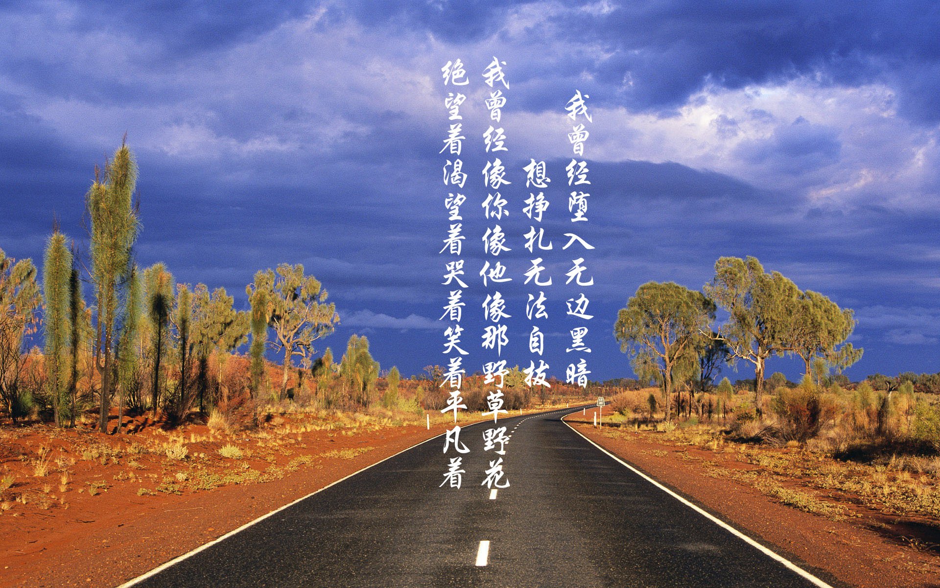 开云官方-萨索洛后卫遭受伤病困扰，球队防线岌岌可危，萨索洛怎么这么强