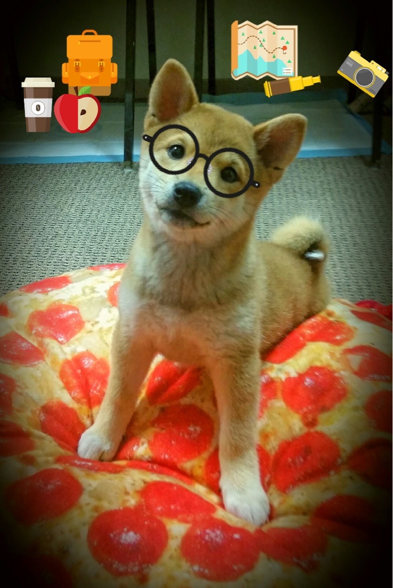 波兰队未来规划:如何结合国内外经验,为球员创造更多成长机会