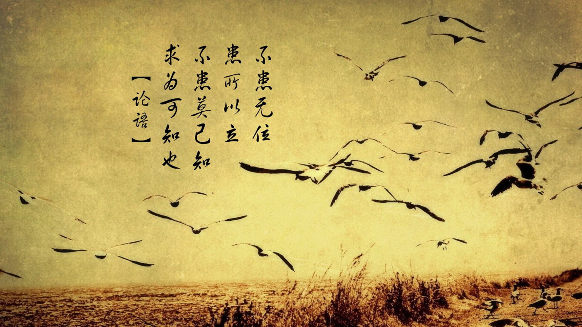 足球换人策略成为媒体热议话题，足球比赛换人规则介绍