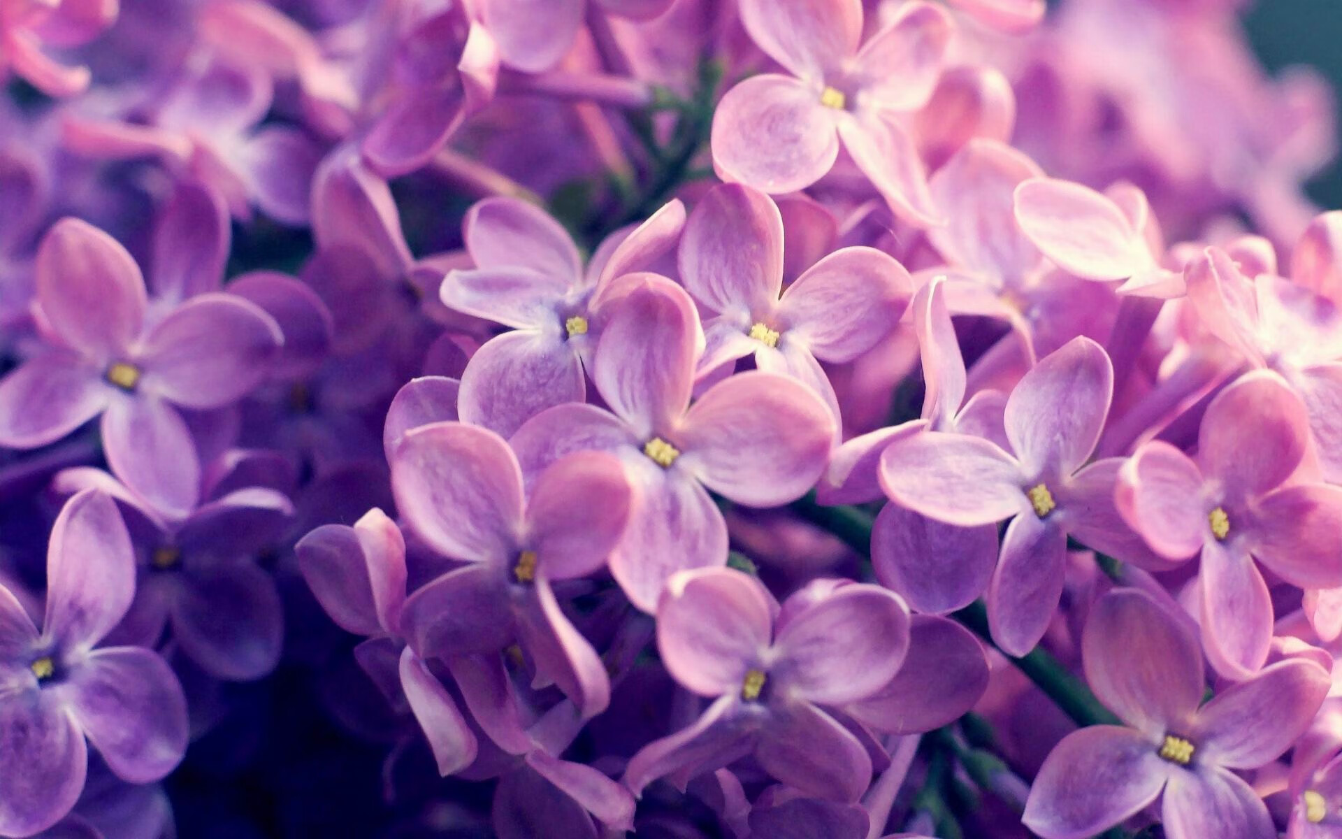 开云·Kaiyun网页版-李冰洁突破自我 为中国队再添光芒，李冰洁比赛