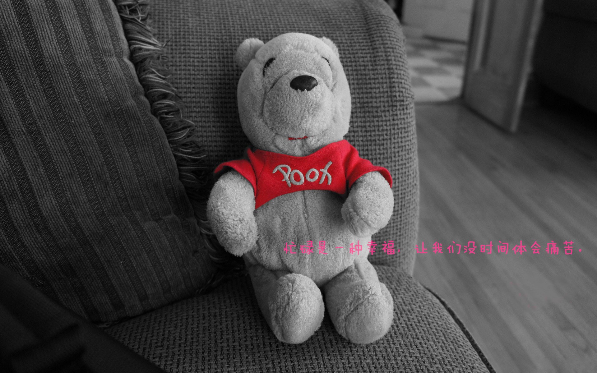 开云官方网站-球迷文化研究报告发布，展望全球化发展趋势，球迷文化什么意思