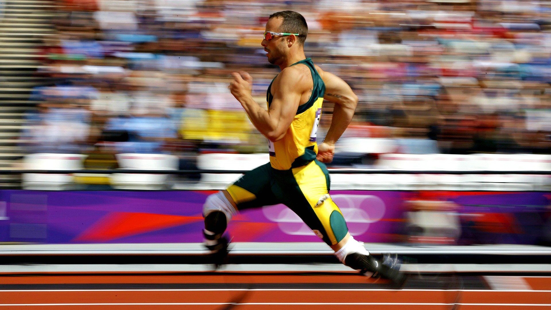 _极地冰湖冰泳比赛：冰封世界的速度较量_，极地冰主要在哪里