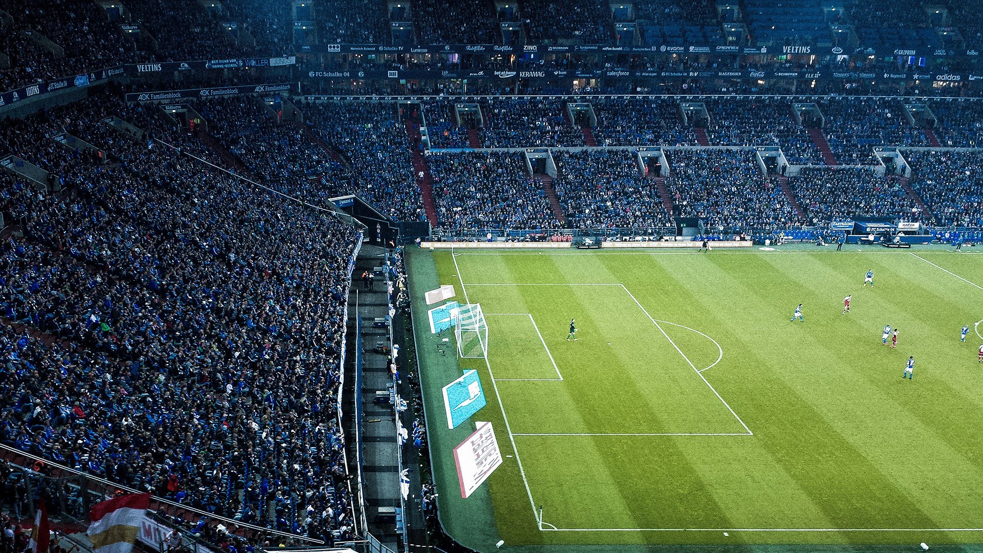 _极地冰雪冰雕运动节：用冰雪点亮冬日_，极地冰雪世界