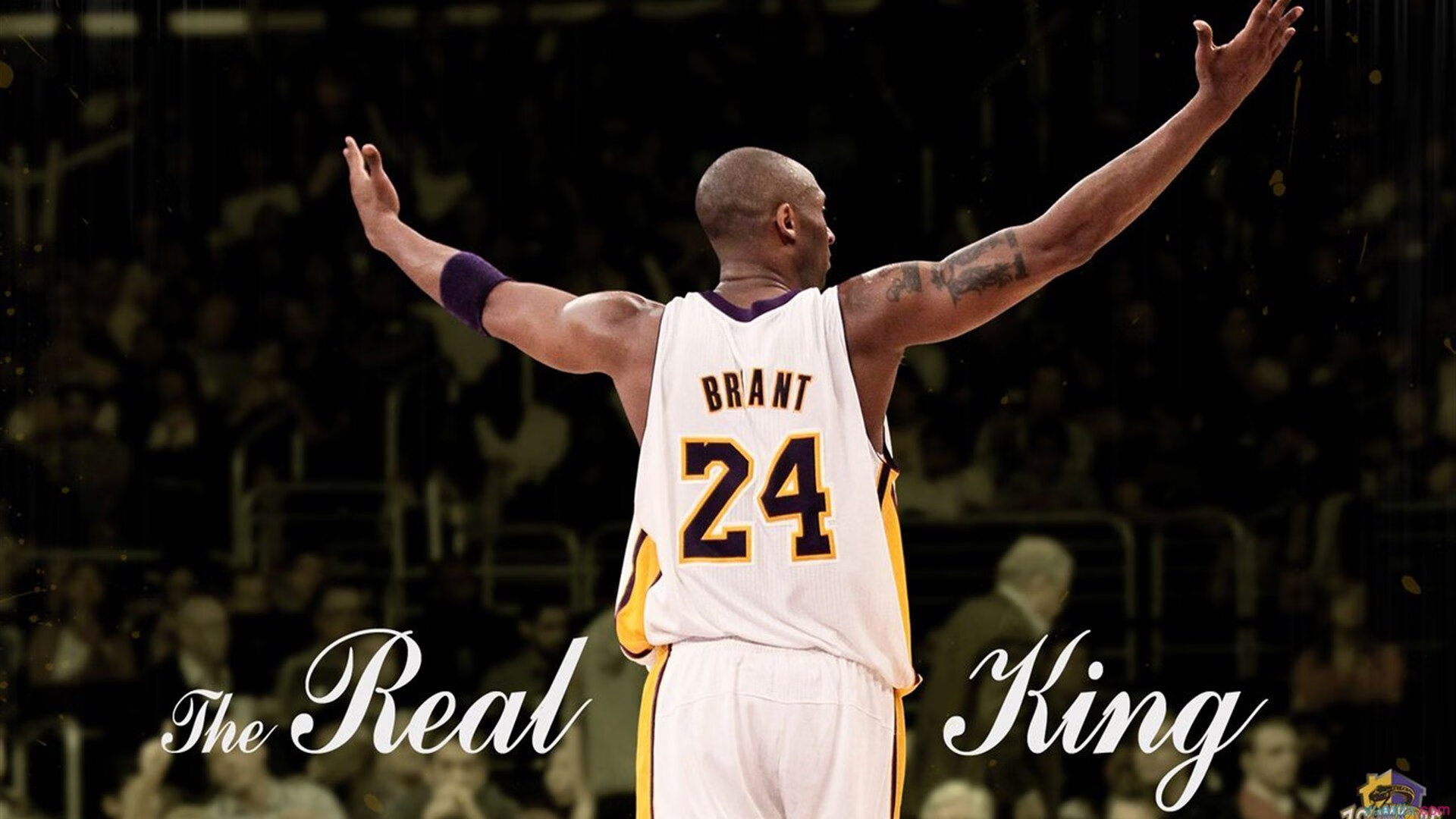 开云体育真人-青少年度电竞超新星逆势崛起，行业新宠频频刷屏，电竞青少年的逐梦路